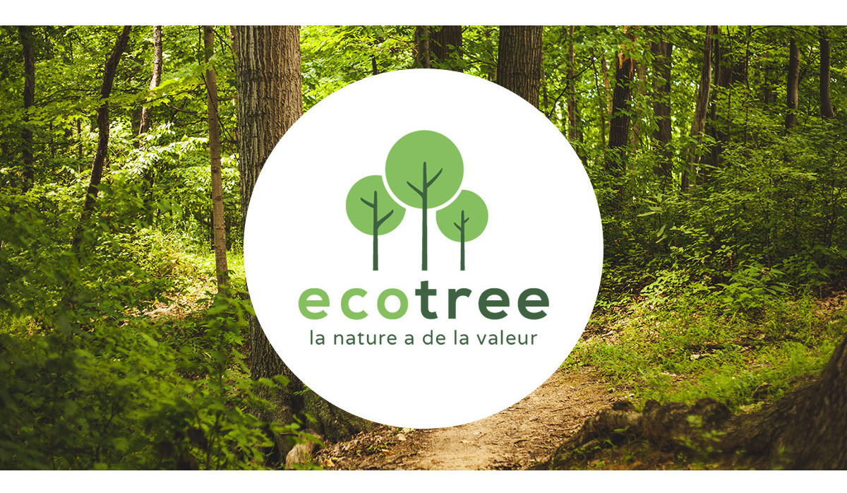 Эко ло. ECOTREE. Эко дерево картинка. Баннер Eco Tree. Эко прорыв логотип.